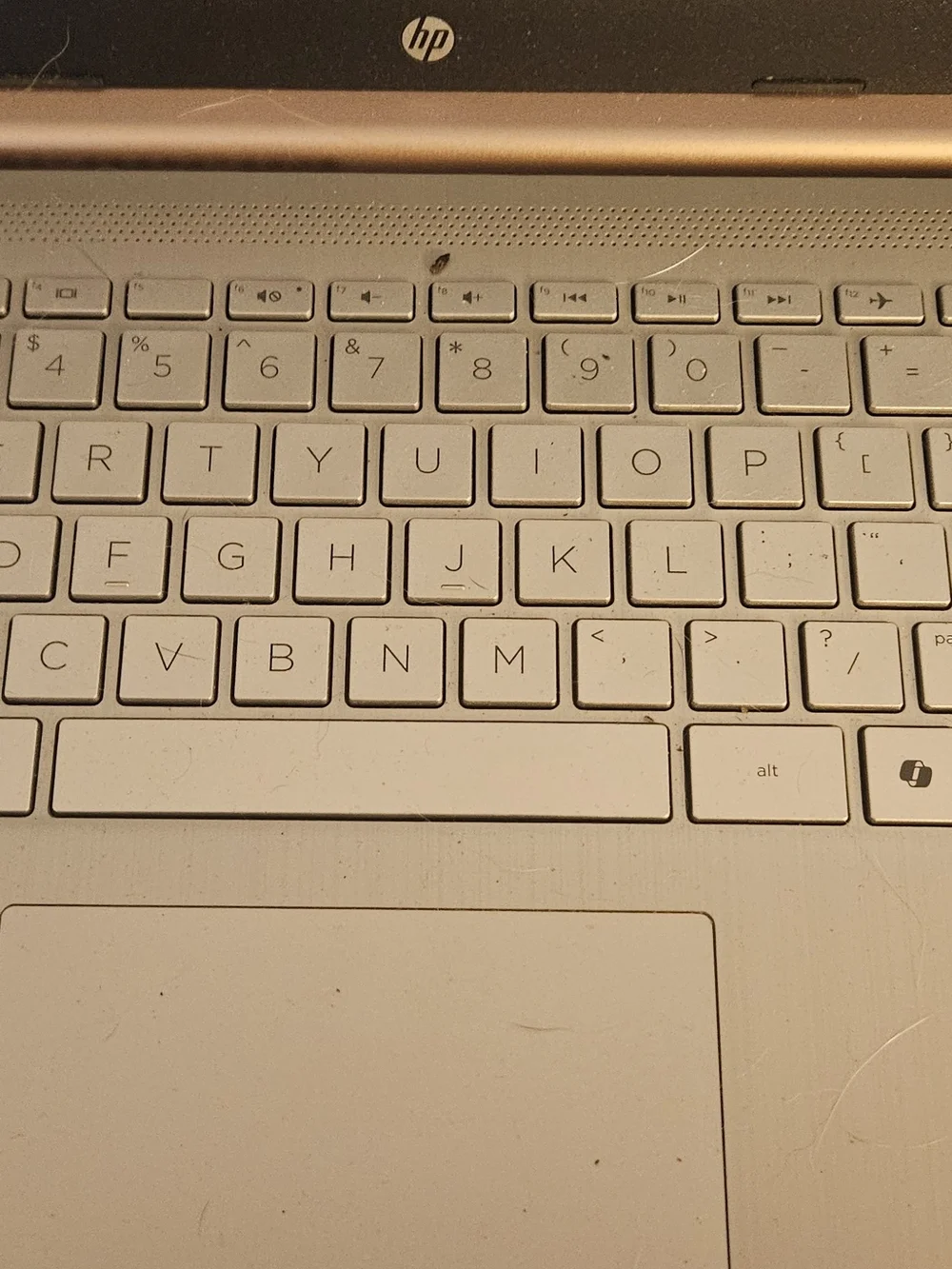 HP Rose Gold Laptop with Silver Keyboard Deck
